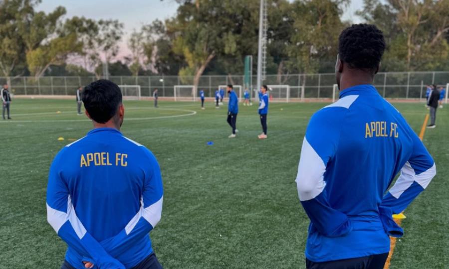 apoel