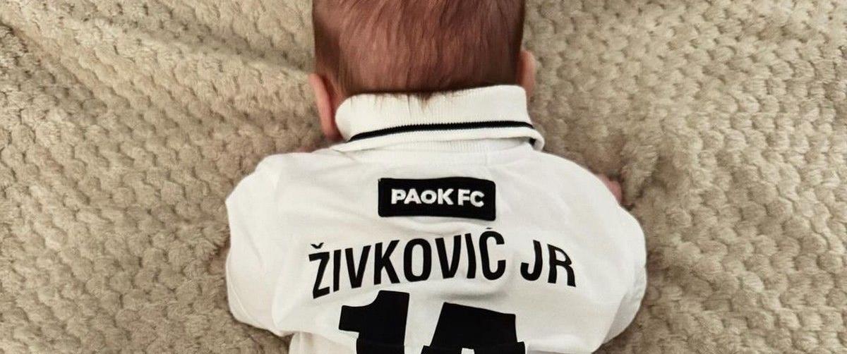 zivkovic